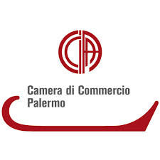 logo camcom