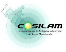 logo cosilam